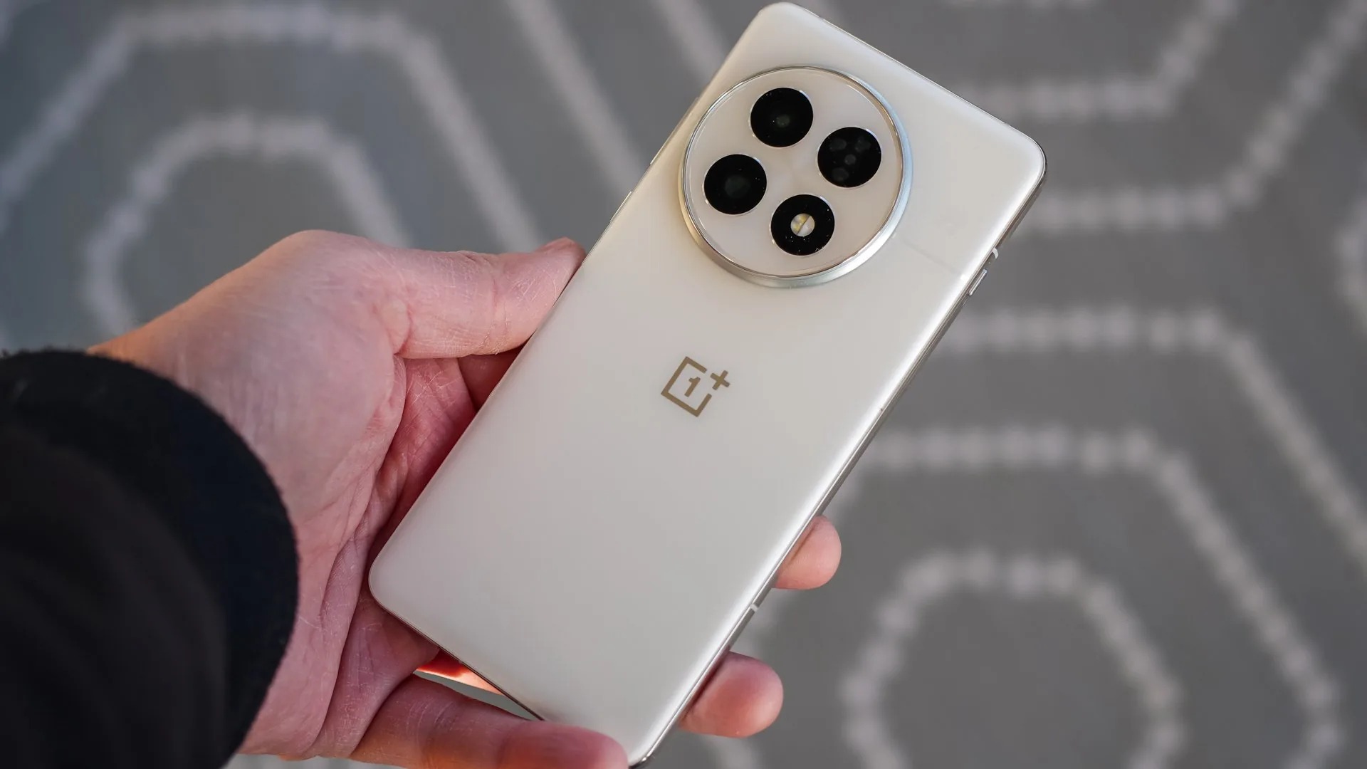 OnePlus 13 (Ảnh: Internet)
