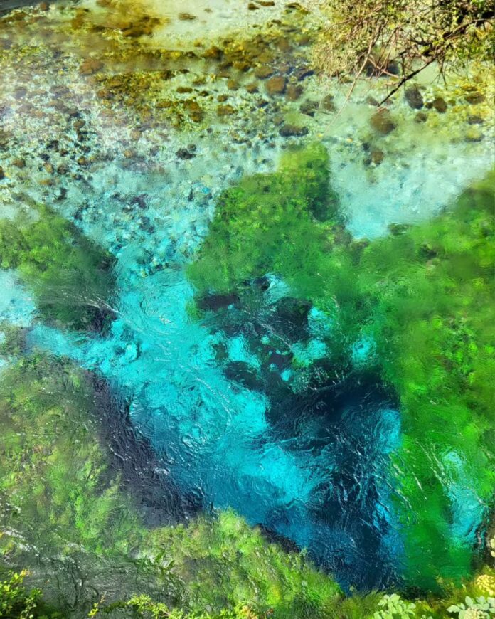 Đôi mắt xanh giữa rừng (cre ảnh : IG @piiasusannatraveler)