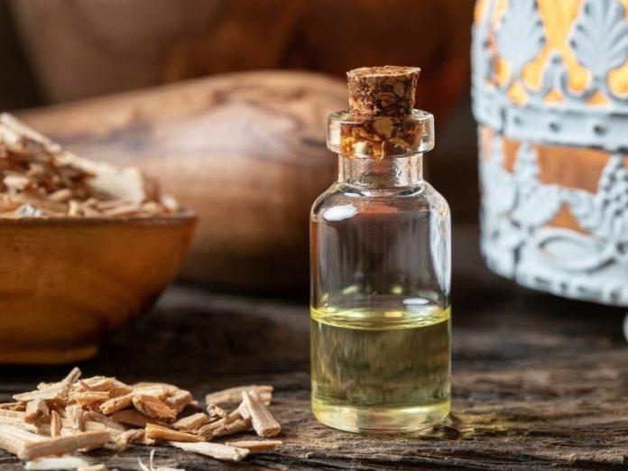 Nước hoa mùi gỗ tuyết tùng phù hợp cho mùa nào?