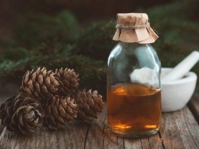 Tinh dầu gỗ tuyết tùng được chiết xuất từ gỗ, lá và vỏ cây tuyết tùng