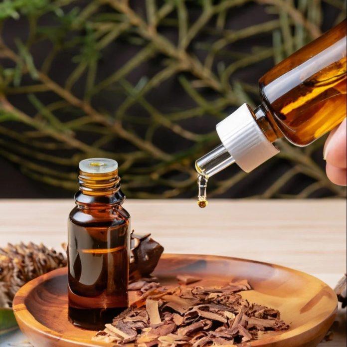 Lợi ích của tinh dầu tuyết tùng
