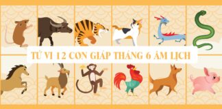 Tử vi 12 con giáp tháng 6 nhuận 2025: Mẹo tăng vận may hiệu quả