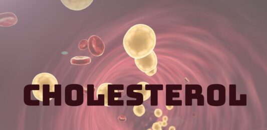 15 “sự thật” về cholesterol: Những điều khiến bạn bất ngờ cholesterol