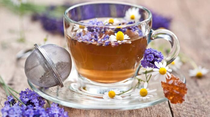 Trà hoa cúc la mã và oải hương