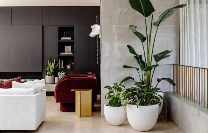 Trang trí cây xanh