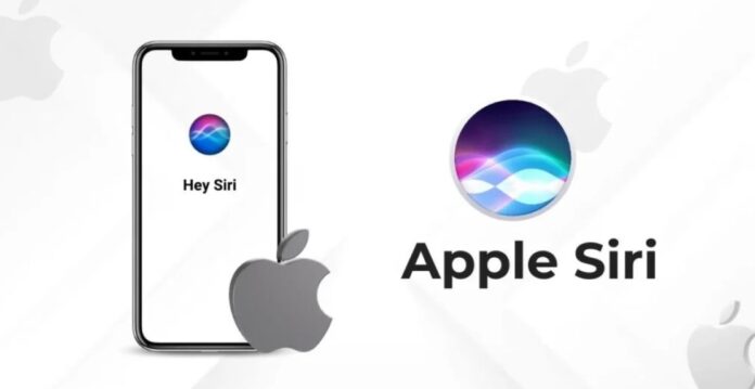 (Ảnh: Internet) (Ảnh: Internet)