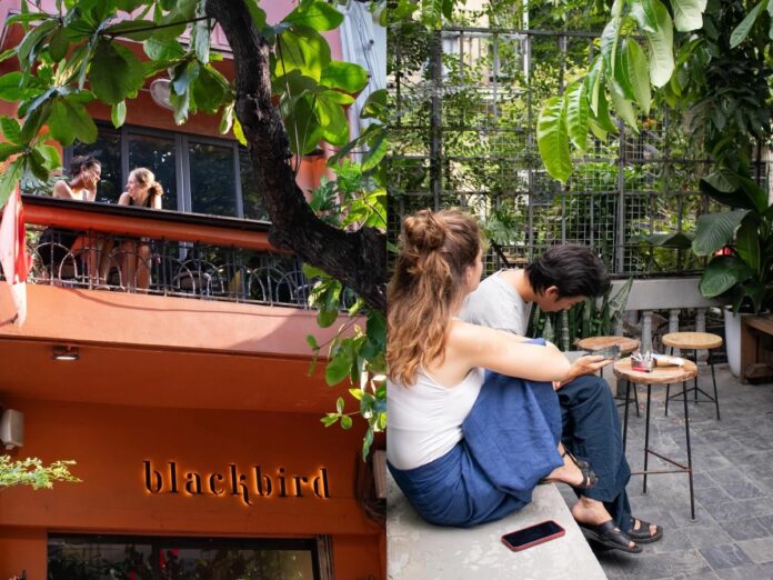 TOP quán cafe Hà Nội đẹp nổi bật được báo chí Đài Loan đề xuất (Ảnh: Internet)