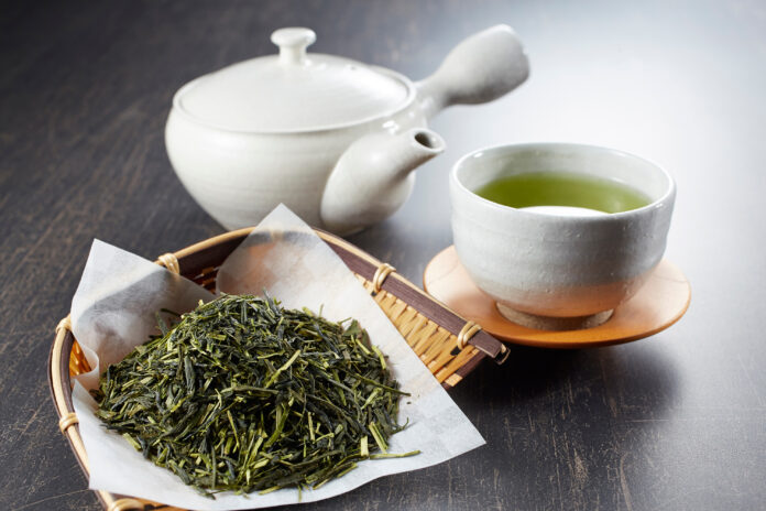 Sencha (Ảnh: Internet)