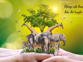 Top 5 loài vật trong Sách Đỏ được Việt Nam bảo vệ
