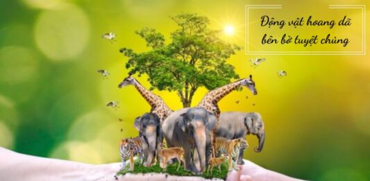 Top 5 loài vật trong Sách Đỏ được Việt Nam bảo vệ