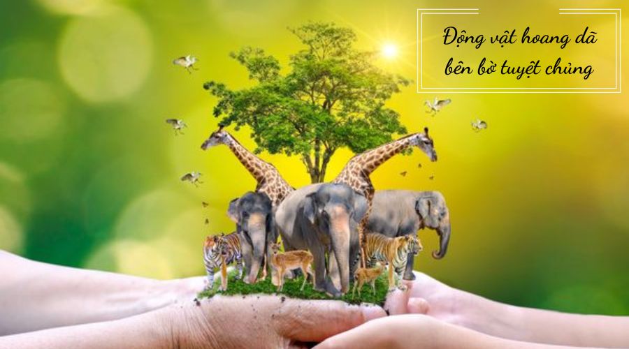 Top 5 loài vật trong Sách Đỏ được Việt Nam bảo vệ Top 5 loài vật trong Sách Đỏ được Việt Nam bảo vệ