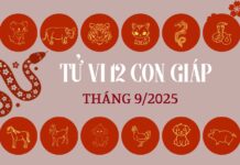 Tử vi tài lộc 12 con giáp tháng 9/2025: 4 tuổi có vận may rực rỡ nhất