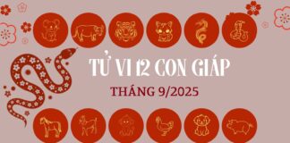 Tử vi tài lộc 12 con giáp tháng 9/2025: 4 tuổi có vận may rực rỡ nhất
