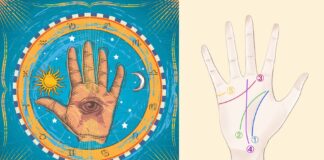 Hướng dẫn bói chỉ tay cho người mới chi tiết, chính xác nhất