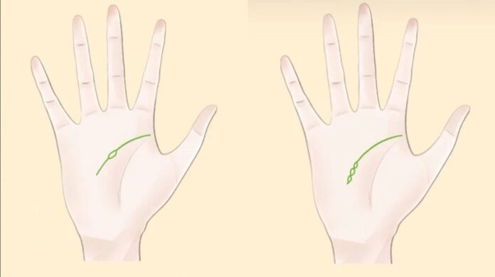 Xem bói đường chỉ tay tổng quát cho người mới (Ảnh: Internet)