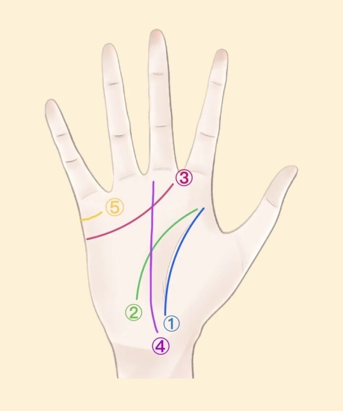 Xem bói đường chỉ tay tổng quát cho người mới