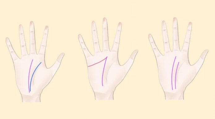 Xem bói đường chỉ tay tổng quát cho người mới (Ảnh: Internet)