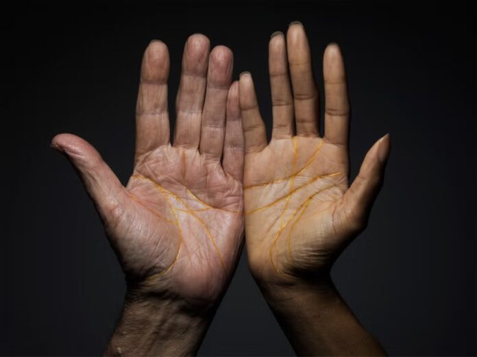 Xem bói chỉ tay là gì? (Ảnh: Internet)