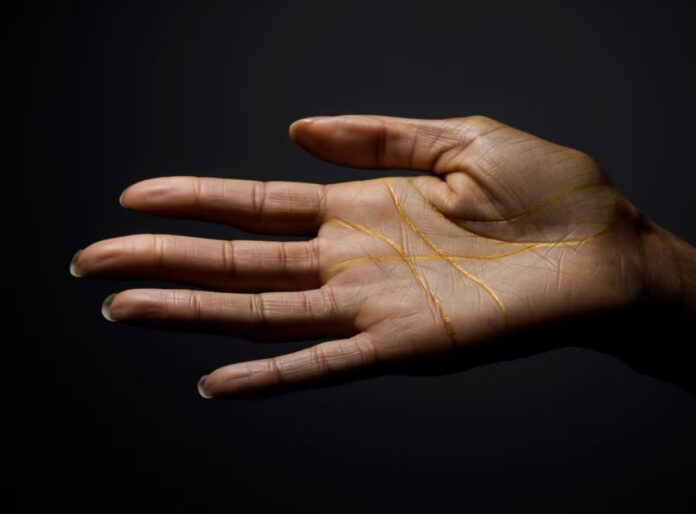 Cách xem bói chỉ tay chính xác nhất (Ảnh: Internet)