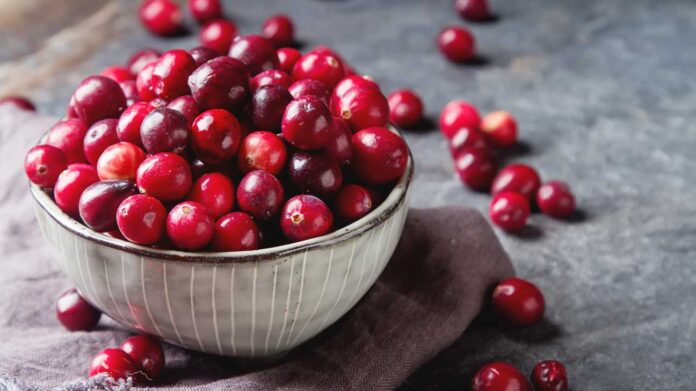 Nam việt quất (cranberry)