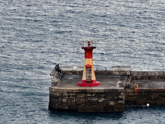 Ống kính vivo X200 Ultra 800mm (Ảnh: Internet) Ống kính vivo X200 Ultra 800mm (Ảnh: Internet)