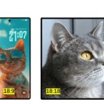 Hình ảnh dự đoán thiết bị Wide Fold (Ảnh: Internet)