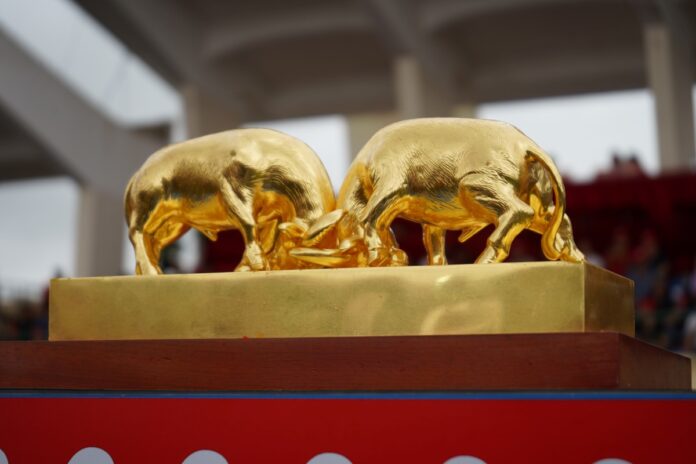 Trâu vô địch nhận 100 triệu đồng.