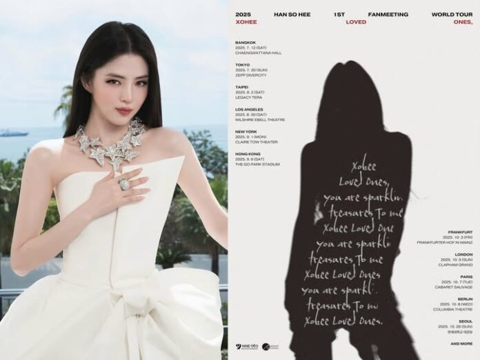 Sức hút của Han So-hee đã giảm sút khi thống kê tình hình của fan meeting (Ảnh: Internet)