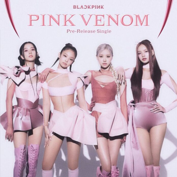 Bài hát "Pink Venom". Nguồn: Internet Bài hát "Pink Venom". Nguồn: Internet