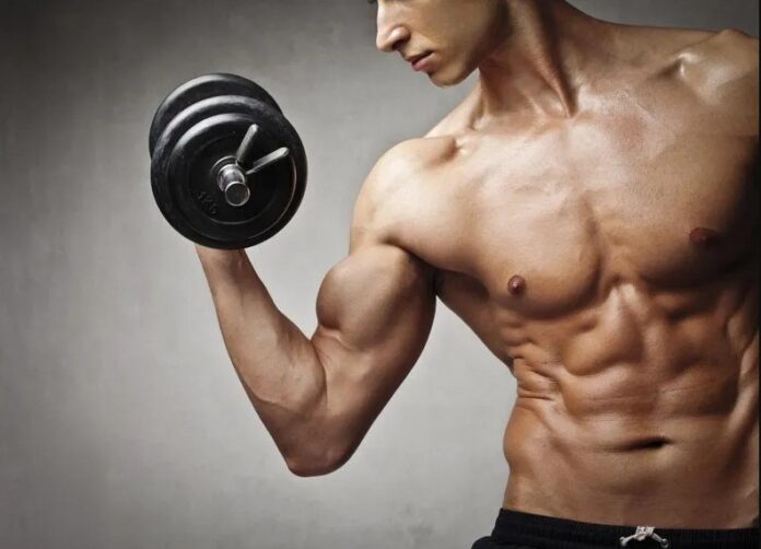 (Ảnh: Internet) (Ảnh: Internet)