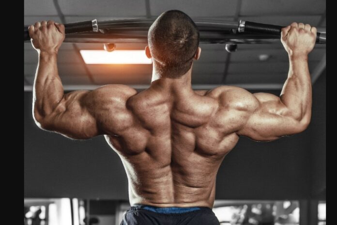 (Ảnh: Internet) (Ảnh: Internet)