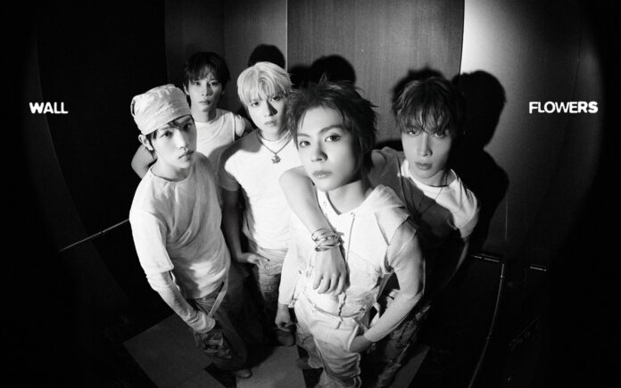 Tên gọi "POW" là viết tắt của "Power Of Wonder" – biểu trưng cho tinh thần đổi mới, tò mò và không ngừng khám phá của nhóm (Ảnh: Internet)