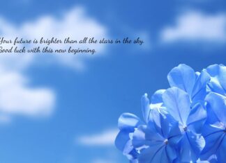 Your future is brighter than all the stars in the sky. Good luck with this new beginning. (Ảnh: Internet)