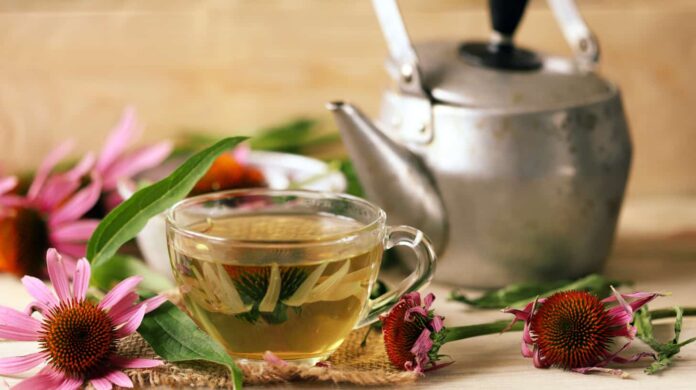 Trà và chiết xuất từ Echinacea còn được đánh giá cao trong chăm sóc da