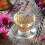 8 lợi ích tuyệt vời của trà Echinacea