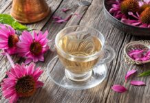 8 lợi ích tuyệt vời của trà Echinacea: Từ tăng miễn dịch đến làm đẹp da 8 lợi ích tuyệt vời của trà Echinacea