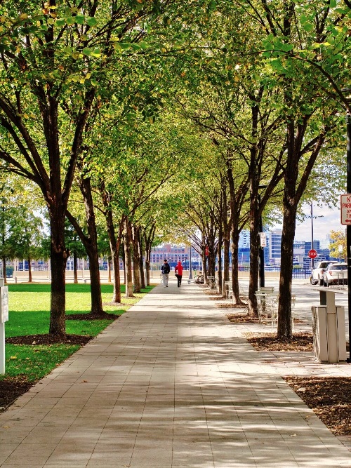 Ảnh chụp bằng điện thoại OnePlus 15 với zoom 3.5x, bộ lọc thực phẩm (Ảnh: Internet)