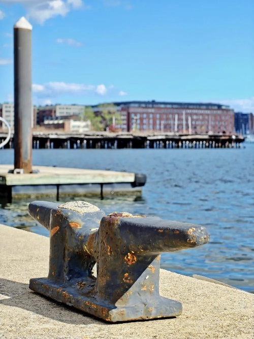 Ảnh chụp bằng điện thoại OnePlus 15 với zoom 3.5x, bộ lọc vivid (Ảnh: Internet)