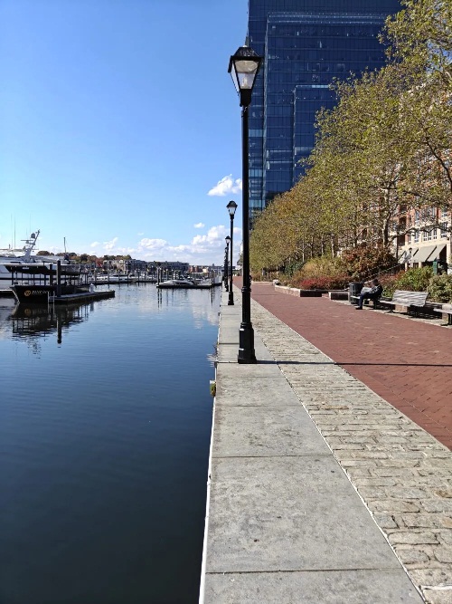 Ảnh chụp bằng điện thoại OnePlus 15 (Ảnh: Internet)