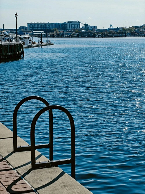 Ảnh chụp bằng điện thoại OnePlus 15 với zoom 3.5x (Ảnh: Internet)