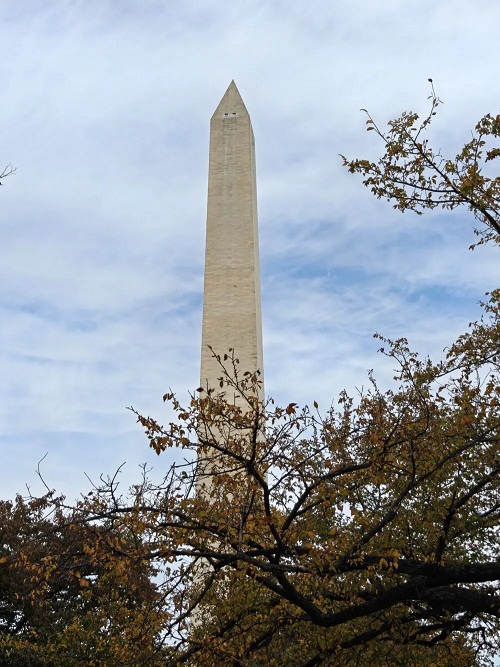 Ảnh chụp bằng điện thoại OnePlus 15 với zoom 2x (Ảnh: Internet)