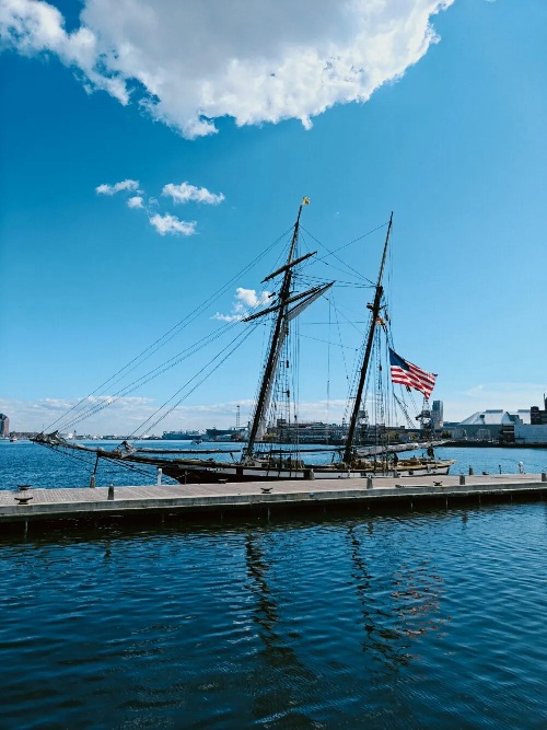 Ảnh chụp bằng điện thoại OnePlus 15 với zoom 1x, bộ lọc Neon (Ảnh: Internet)