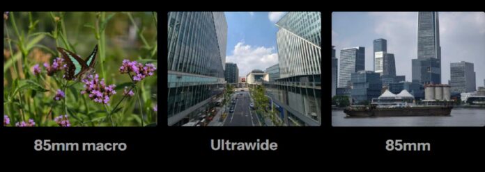 Ảnh chụp bằng điện thoại vivo X300 Pro (Ảnh: Internet) Ảnh chụp bằng điện thoại vivo X300 Pro (Ảnh: Internet)