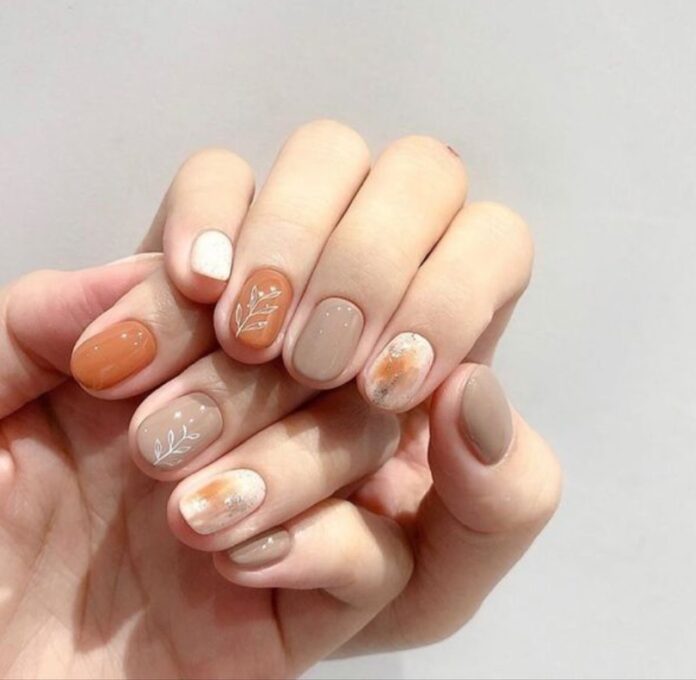 Những nail gấm đẹp thanh lịch (Ảnh: Internet)