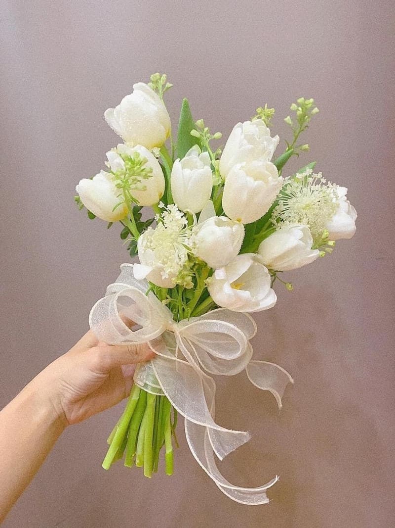 Bó hoa Tulip trắng