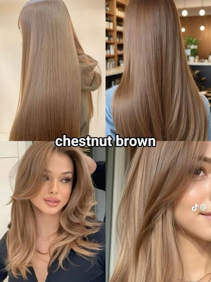 Màu nâu hạt dẻ