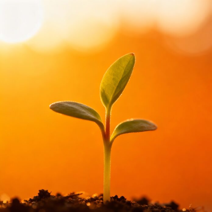 Số 1 tượng trưng cho sự khởi đầu mới.