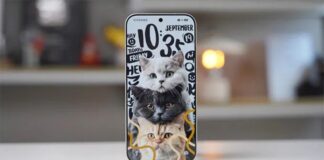 Xiaomi 17 Pro Max (Ảnh: Internet)