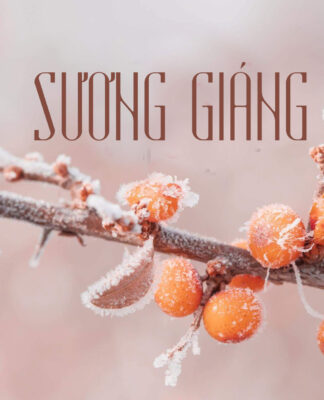 Tiết Sương giáng 2025 ngày nào? Mẹo cầu may mắn tiết sương giáng