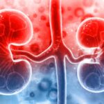 Ăn gì để thận sạch và khỏe? 10 thực phẩm tự nhiên bạn nên bổ sung mỗi ngày để cải thiện sức khỏe thận!